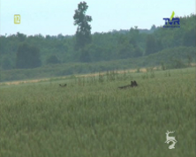 TVR - TELEWIZJA ROLNICZO-EDUKACYJNA